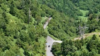 Yemyeşil ağaçlar ve tepelerle çevrili dolambaçlı bir yol