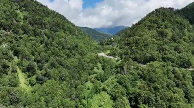 Mavi gökyüzünün altındaki dağlarla çevrili yemyeşil bir vadi