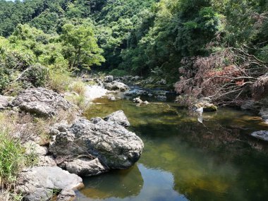 Yeşilimsi bir rengi ve suda kayaları olan bir nehir. Kayalar nehrin her tarafına dağılmış ve su sakin. Huzurlu ve huzurlu bir sahne.