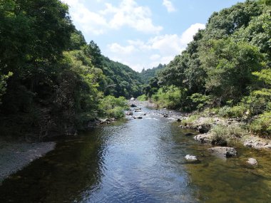 Temiz mavi suyu ve arka planda ağaçları olan bir nehir. Su sakin ve huzurlu.