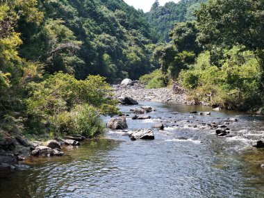 Bir sürü kaya ve ağaçla dolu bir nehir. Su berrak ve sakin. Ağaçlar yeşil, kayalar kahverengi.