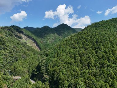 Arkasında dağ sıraları olan yemyeşil bir orman. Gökyüzü açık ve mavi ve ağaçlar uzun ve yoğundur. Huzur ve doğal güzellik kavramı