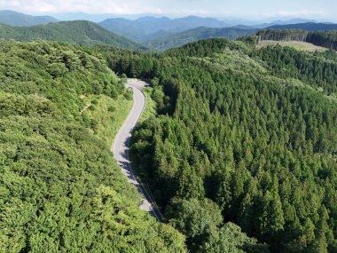 Ormanın ortasında dolambaçlı bir yol. Yol ağaçlarla çevrili ve gökyüzü açık.