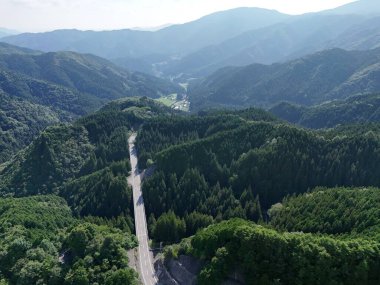 İki tarafında ağaçlar olan bir dağ yolu. Yol dar ve dolambaçlı, ağaçlar uzun ve yeşil. Gökyüzü açık ve güneş parlıyor. Huzurlu ve huzurlu bir atmosfer yaratıyor.