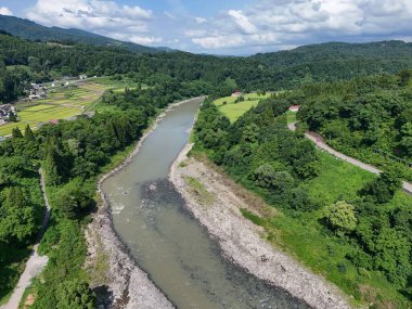 İki tarafında yeşil orman olan bir nehir. Su kahverengi ve ağaçlar yemyeşil.