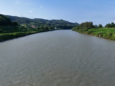 Bir sürü ağacı ve arka planda evi olan bir nehir. Su bulanık ve gökyüzü berrak.