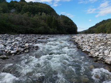 Arka planda bir sürü kaya ve ağaç olan bir nehir. Su akıyor ve kayalar nehir boyunca yayılıyor.