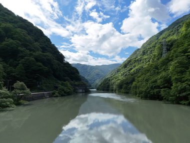 İki tarafında yeşil orman olan bir nehir. Su sakin ve gökyüzü bulutlu.