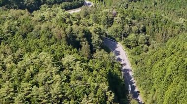 Yemyeşil ormanda dolambaçlı yolun havadan görünüşü