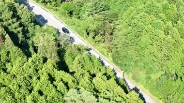 Yemyeşil ağaçlarla çevrili yolun havadan görünüşü