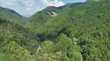 Parlak mavi gökyüzünün altında yemyeşil dağlar