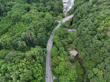 Arabalı bir yol ve ormanın ortasında bir köprü. Yol ağaçlarla çevrili ve arabalar üzerinde ilerliyor.