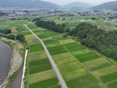 Üzerinde yol olan büyük yeşil çimen tarlası. Yol ağaçlarla çevrili ve gökyüzü açık.
