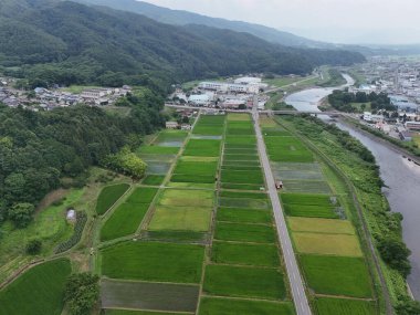 Yukarıdan büyük bir yeşil ekin tarlası görülebilir. Toprağın engin genişliği çeşitli ekinlerle dolu olduğundan bolluk ve verimlilik kavramı