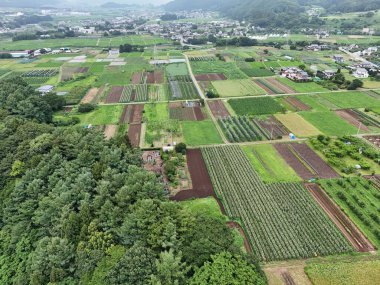 Yukarıdan geniş bir ekin tarlası gösteriliyor. Gökyüzü bulutlu ve toprak yeşil.