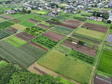 İçinde birçok farklı mahsulün yetiştiği büyük bir tarla. Gökyüzü bulutlu ve güneş görünmüyor.