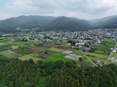 Bir sürü yeşil tarlaları ve ağaçları olan bir kırsal bölge. Gökyüzü bulutlu ve güneş görünmüyor.