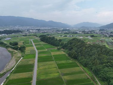 Üzerinde yol olan büyük yeşil çimen tarlası. Yol ağaçlar ve evlerle çevrili.