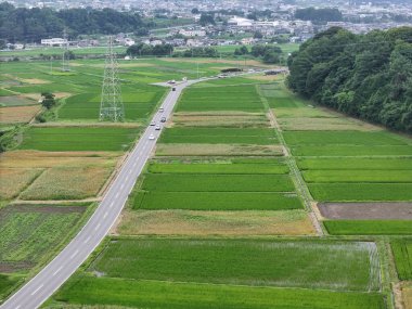 Yeşil mahsullerle dolu bir tarladan geçen bir yol. Yol boş ve üzerinde hiç araba yok.