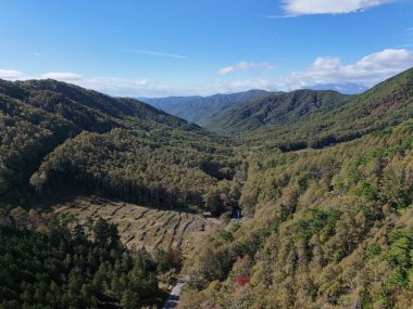 Vadide ormanı olan bir dağ sırası. Gökyüzü açık ve mavi. Ağaçlar yeşil ve yemyeşil.