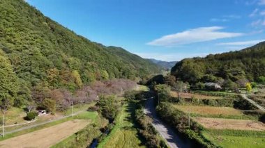 Vadiden akan yemyeşil nehir manzarası