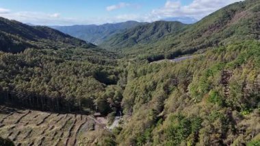 Bereketli yeşil dağlar ve vadilerin havadan görünüşü