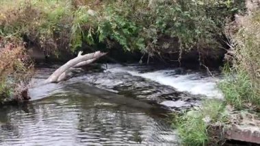 Akan sular, etrafını saran kayalar ve yeşillikler.
