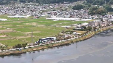 Binaların yakınındaki yeşil tarlaların ve nehrin havadan görünüşü