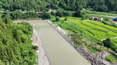 Nehrin yeşil arazi tarlalarında akan havadan görüntüsü
