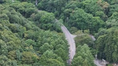 Yemyeşil ağaçlar ve yapraklarla çevrili dolambaçlı yol