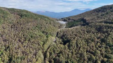 Yeşil dağların ve dolambaçlı yolların havadan görünüşü