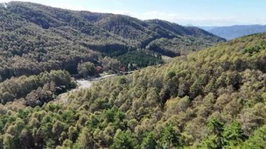 Yuvarlanan tepeleri kaplayan yeşil ağaçların havadan görünüşü