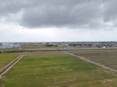 Arka planda bulutlu bir gökyüzü olan yeşil çimen tarlası. Gökyüzü bulutlu ve çimenler yemyeşil
