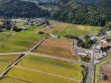 Yukarıdan geniş bir ekin tarlası gösteriliyor. Gökyüzü açık ve güneş ışıl ışıl parlıyor. Manzara huzurlu ve sakin, engin arazi yeşilliklerle dolu.