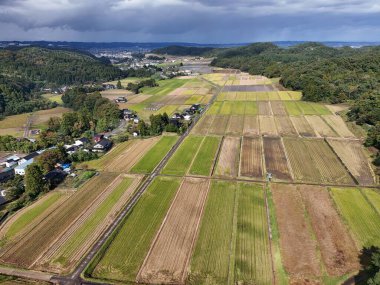 Yukarıdan geniş bir ekin tarlası gösteriliyor. Gökyüzü bulutlu ve güneş görünmüyor. Alan çoğunlukla yeşil, bazı kahverengi yamalar var.