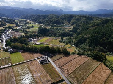 Bir sürü yeşil çimen ve ağaçla dolu güzel bir manzara. Gökyüzü bulutlu ve güneş çok parlak değil.