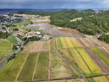 Yukarıdan geniş bir ekin tarlası gösteriliyor. Gökyüzü bulutlu ve güneş görünmüyor. Huzur ve huzur kavramı, uçsuz bucaksız topraklar bozulmamış ve bozulmamış.