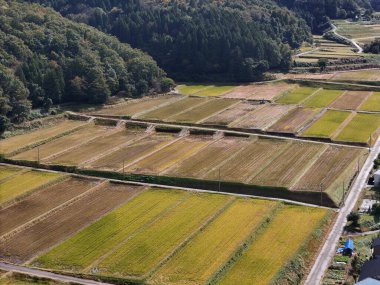 Büyük bir sarı ve yeşil ekin tarlası. Alan bir çitle çevrili ve kırsal bir alanda yer alıyor.