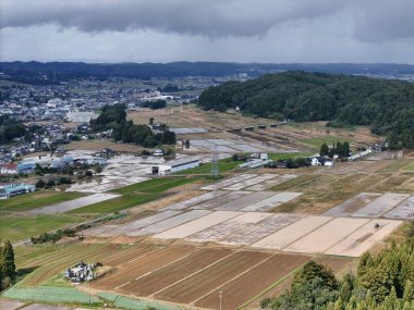 Birkaç evi ve birkaç ağacı olan bir kırsal bölge. Gökyüzü bulutlu.