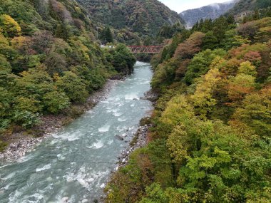 Üzerinde köprü ve her iki tarafında ağaçlar olan bir nehir. Su berrak ve ağaçlar yeşil.