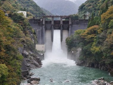 Büyük bir şelale nehre akıyor. Su temiz ve çevresi ağaçlarla doludur. Huzurlu ve huzurlu bir sahne.