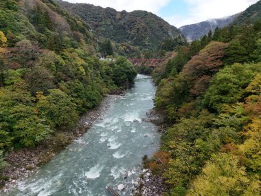 Arka planda köprü olan bir nehir. Su berrak ve ağaçlar yeşil.