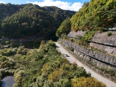 İki tarafında ağaçlar olan ve içinden bir araba geçen bir yol. Yol dolambaçlı ve ağaçlar yemyeşil