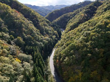 Ağaçlarla çevrili dolambaçlı bir yolu olan bir dağ sırası. Yol ağaçlarla kaplıdır ve dağlar yapraklarla kaplıdır. Huzurlu ve huzurlu bir sahne.