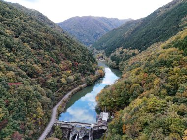 İçinden nehir akan güzel bir dağ vadisi. Ağaçlar yapraklarla dolu ve su sakin.
