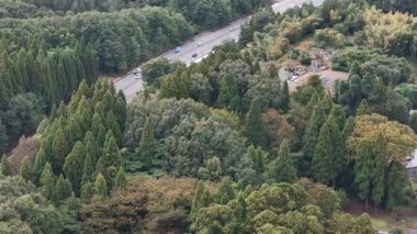Yoğun yeşil ağaçlarla çevrili otobanın havadan görünüşü