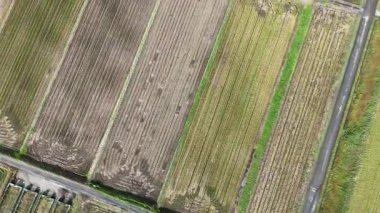 Farklı dokulara sahip tarım alanlarının havadan görünüşü