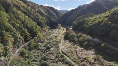 Dağlar ve ağaçlarla çevrili yeşil vadinin havadan görünüşü