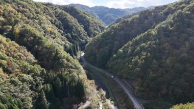 Yemyeşil dağların arasından dolambaçlı yolun havadan görünüşü