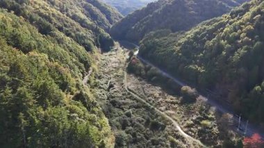 Yeşil dağlarla çevrili kıvrımlı nehrin havadan görünüşü